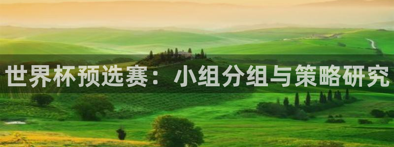 世界杯预选赛：世界杯预选赛：小组分组与策略研究
