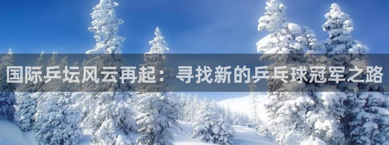 足球世界杯预选赛：国际乒坛风云再起：寻找新的乒乓球冠军之路