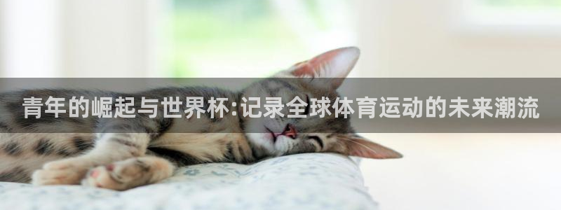 世界杯预选赛规则：青年的崛起与世界杯:记录全球体育运动的未来潮流