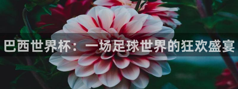 世界杯2026赛程时间表格：巴西世界杯：一场足球世界的狂欢盛宴