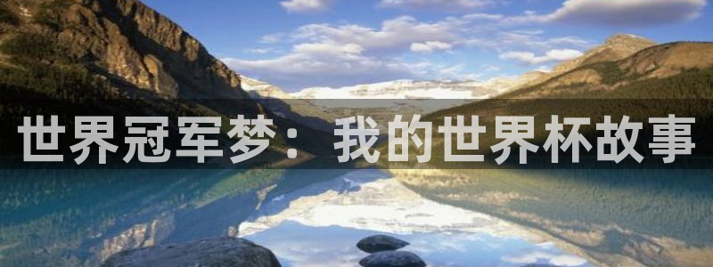 预选赛世界杯:世界冠军梦:我的世界杯故事
