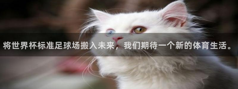2026世界杯直播免费观看：将世界杯标准足球场搬入未来，我们期待一个新的体育生活。