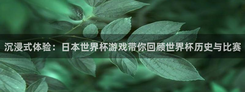世界杯足球：沉浸式体验：日本世界杯游戏带你回顾世界杯历史与比赛