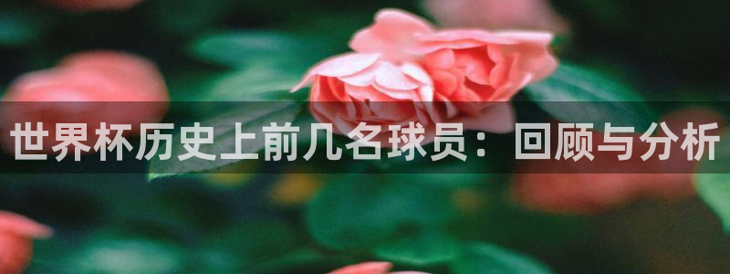 免费足球比赛直播高清:世界杯历史上前几名球员:回顾与分析