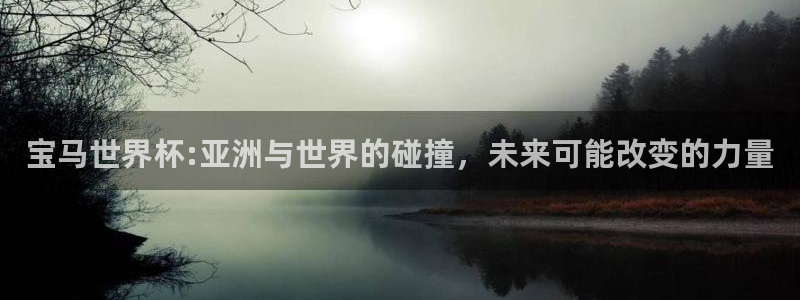 女足世界杯直播在线观看免费高清:宝马世界杯:亚洲与世界的碰撞,未来可能改变的力量