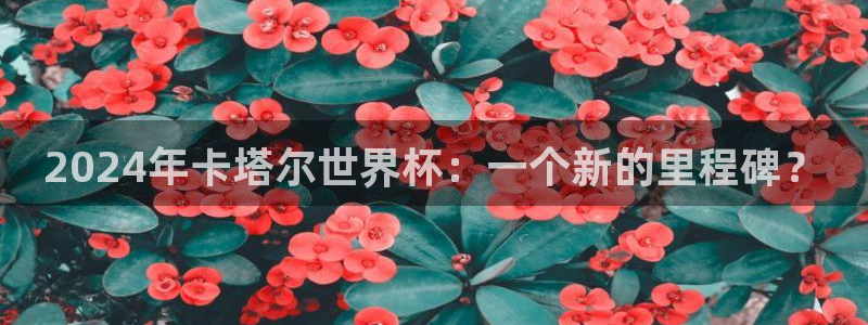 世界杯直播高清：2024年卡塔尔世界杯：一个新的里程碑？