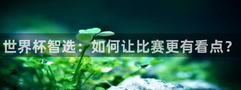 足球世界杯2026:世界杯智选:如何让比赛更有看点?