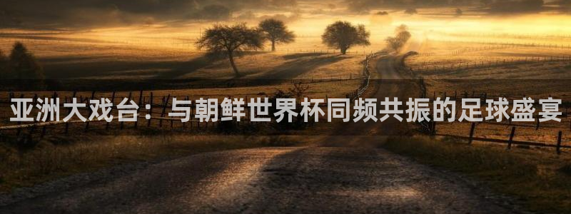世界杯欧洲预选赛:亚洲大戏台:与朝鲜世界杯同频共振的足球盛宴