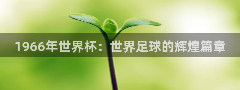 世界杯视频:1966年世界杯:世界足球的辉煌篇章